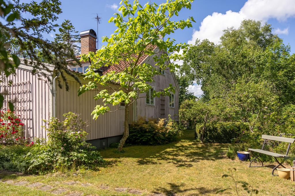 Trädgård
