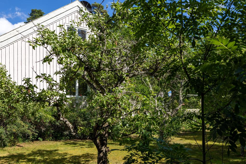 Trädgård