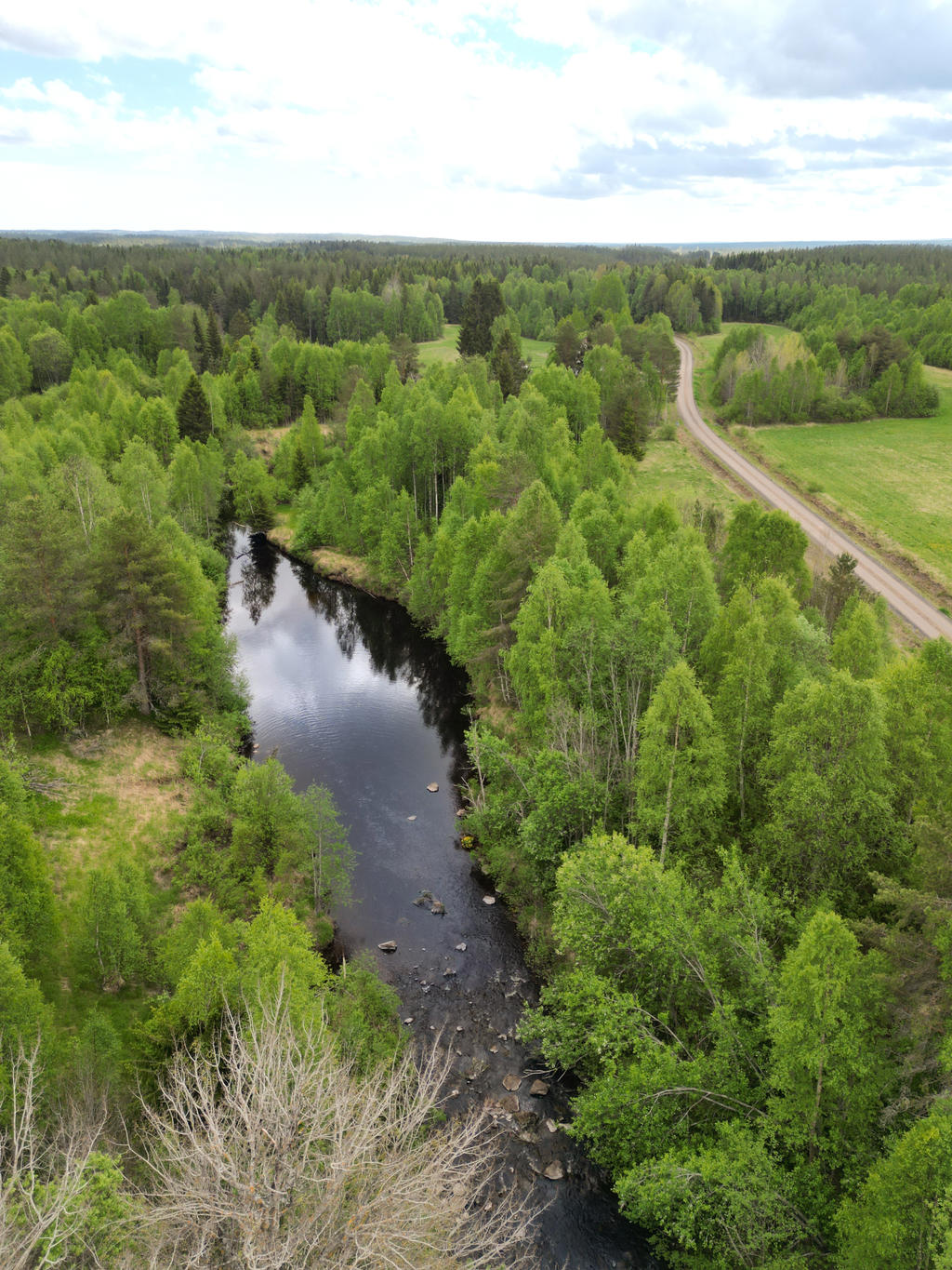 Sävarån med fiske i närheten