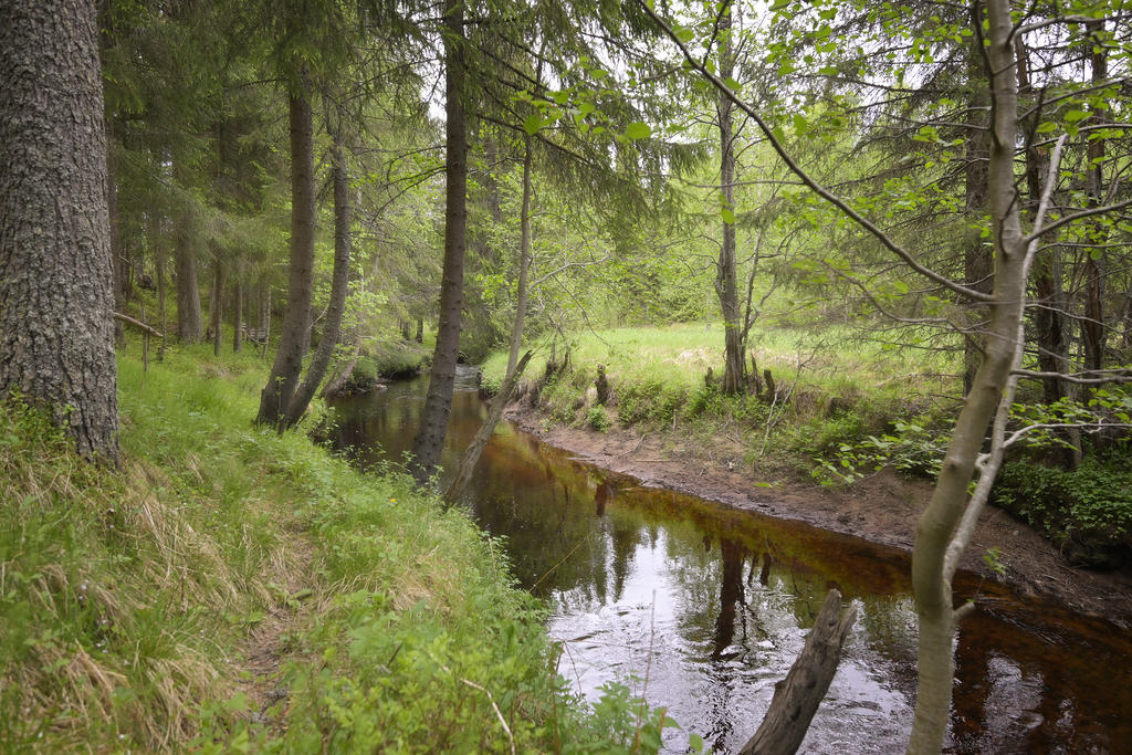 Graveån i anslutning 