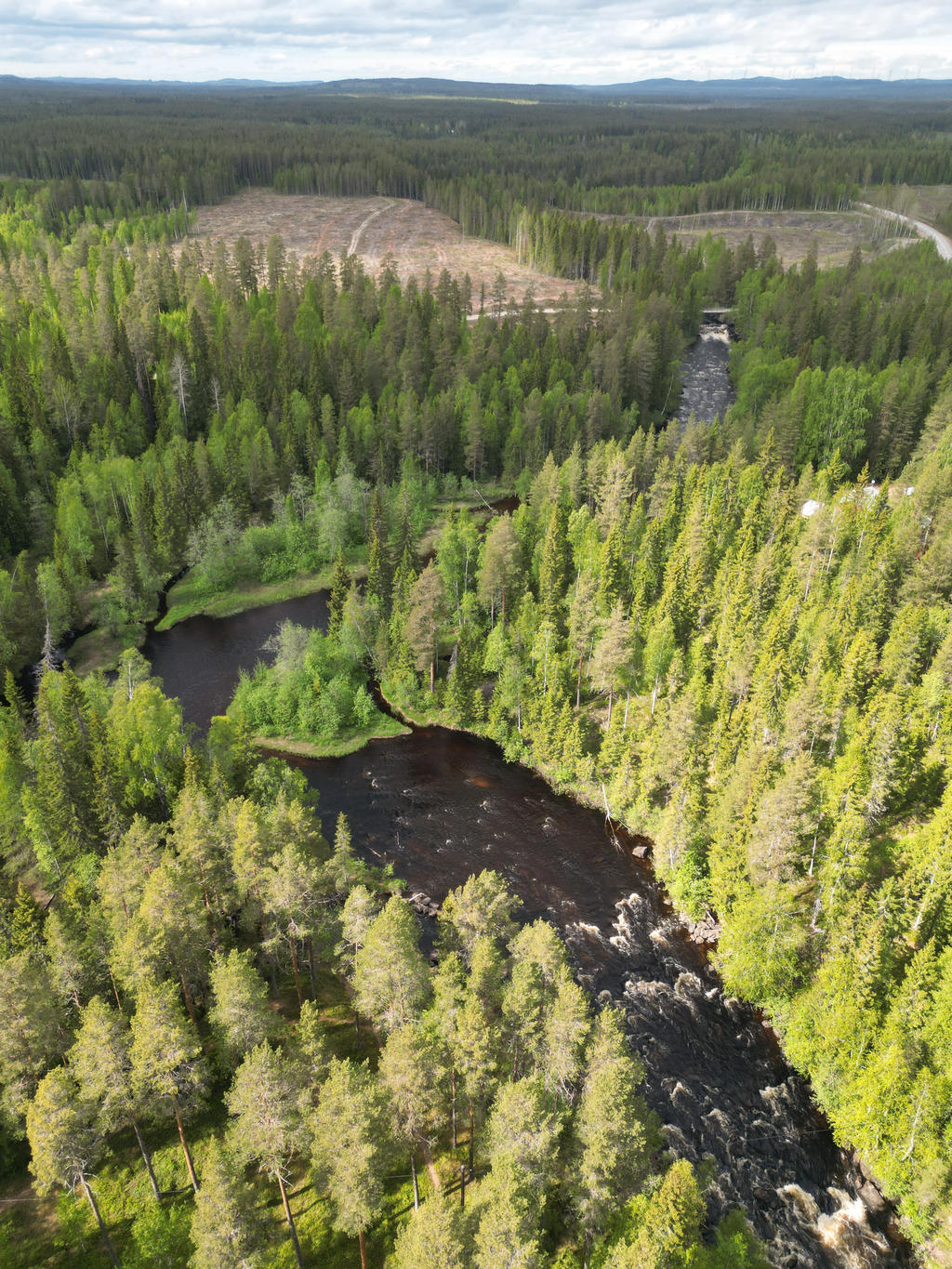 Sävarån
