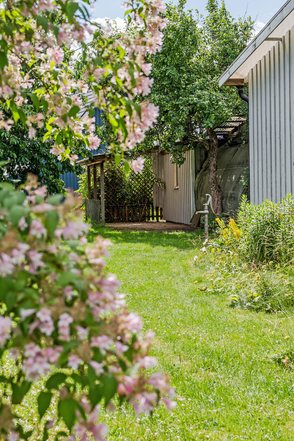 En plats i skuggan - vedskjul eller parkering för släpvagnen.