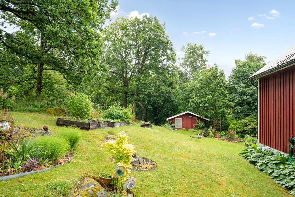 Grönskande trädgård 