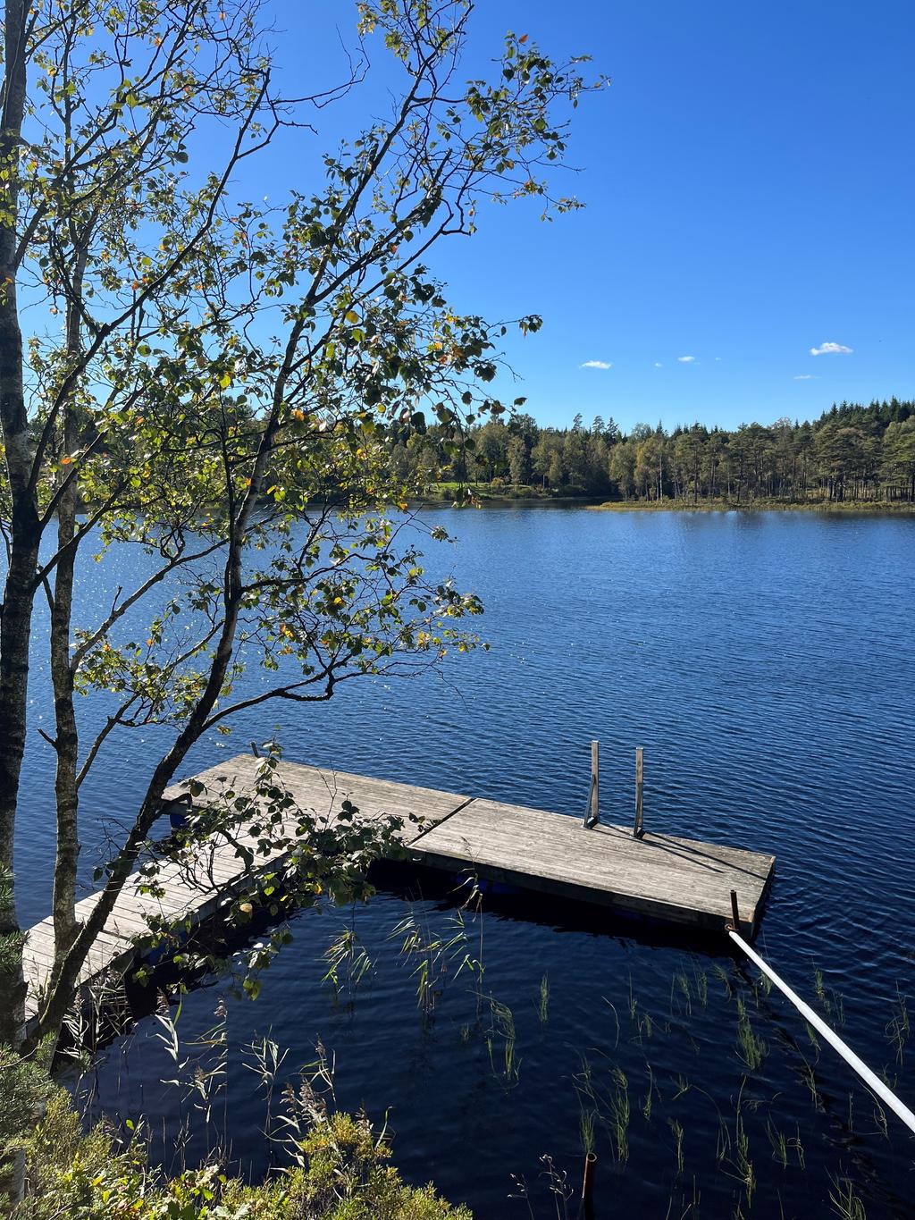 Säljarens bild 