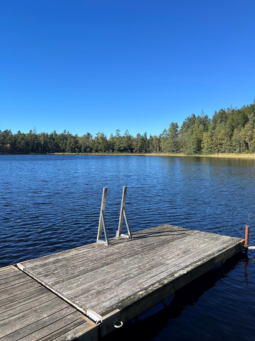 Säljarens bild 