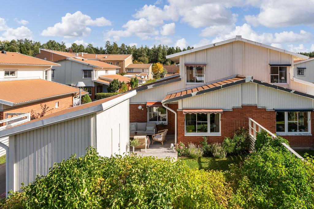 Trädgård på baksidan