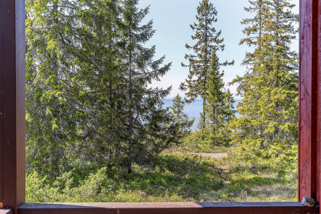 Kan bli magisk panorama vy - från bron