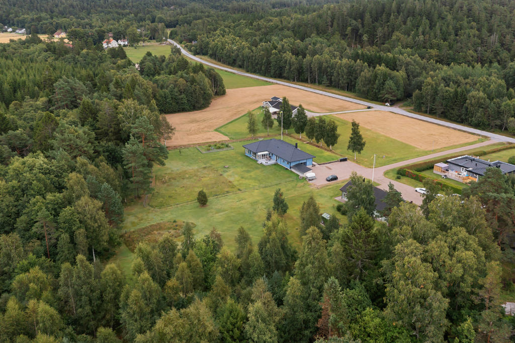 Stor tomt med äng, gräsmatta och skogsdunge