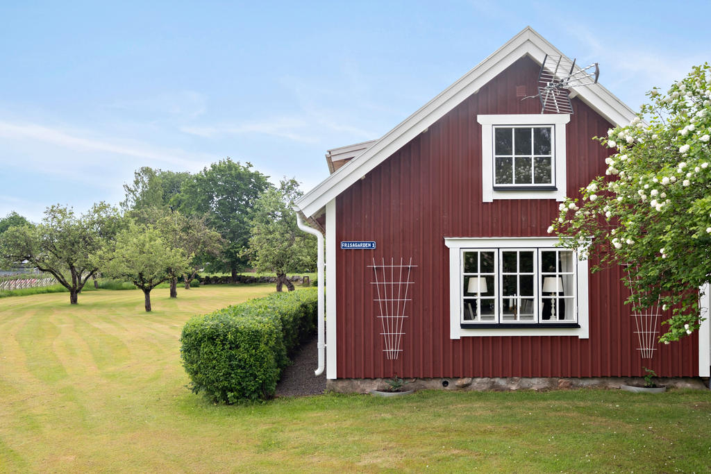 Stor, grönskande trädgård.