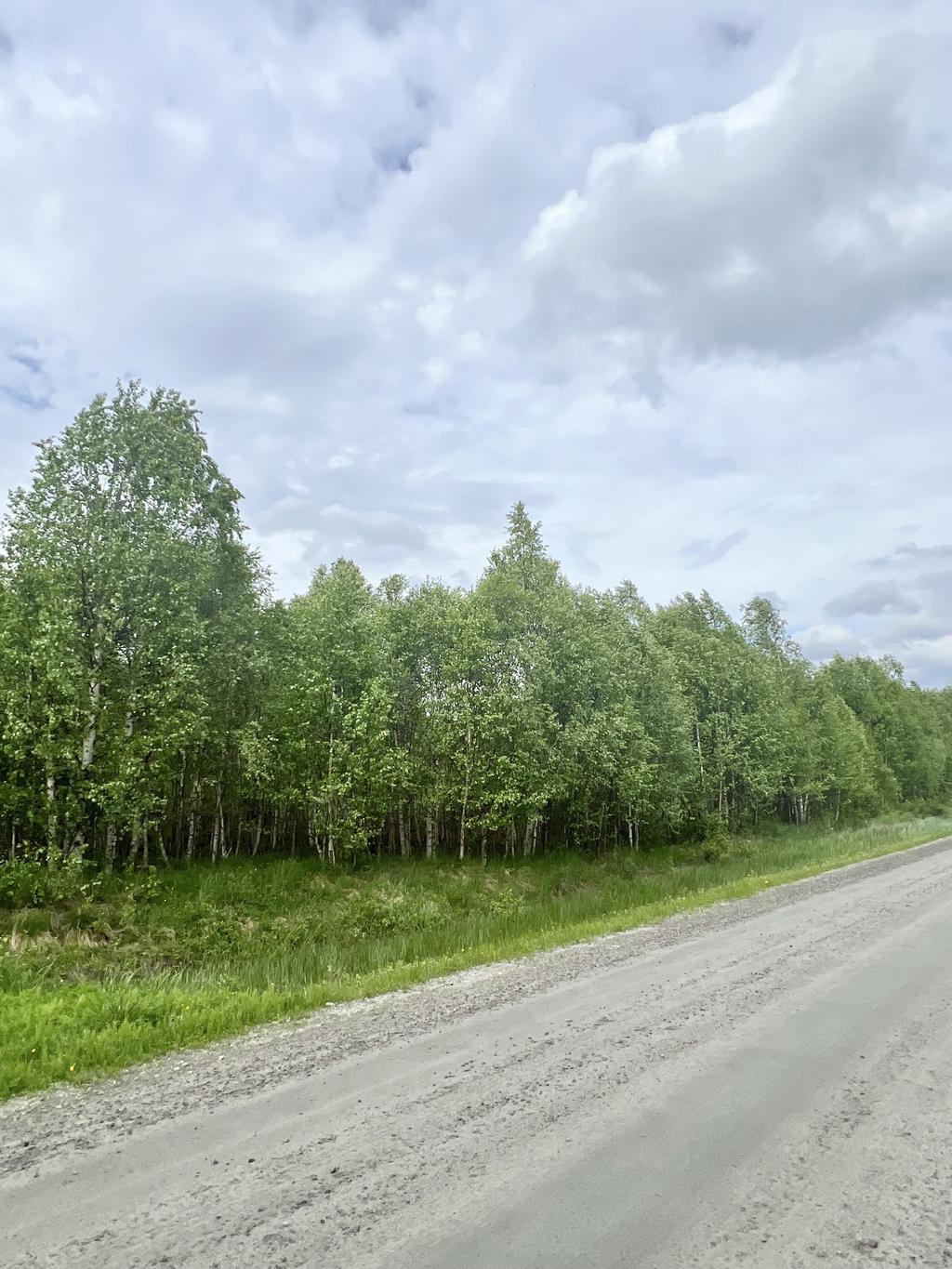 Lillberget 2:5
