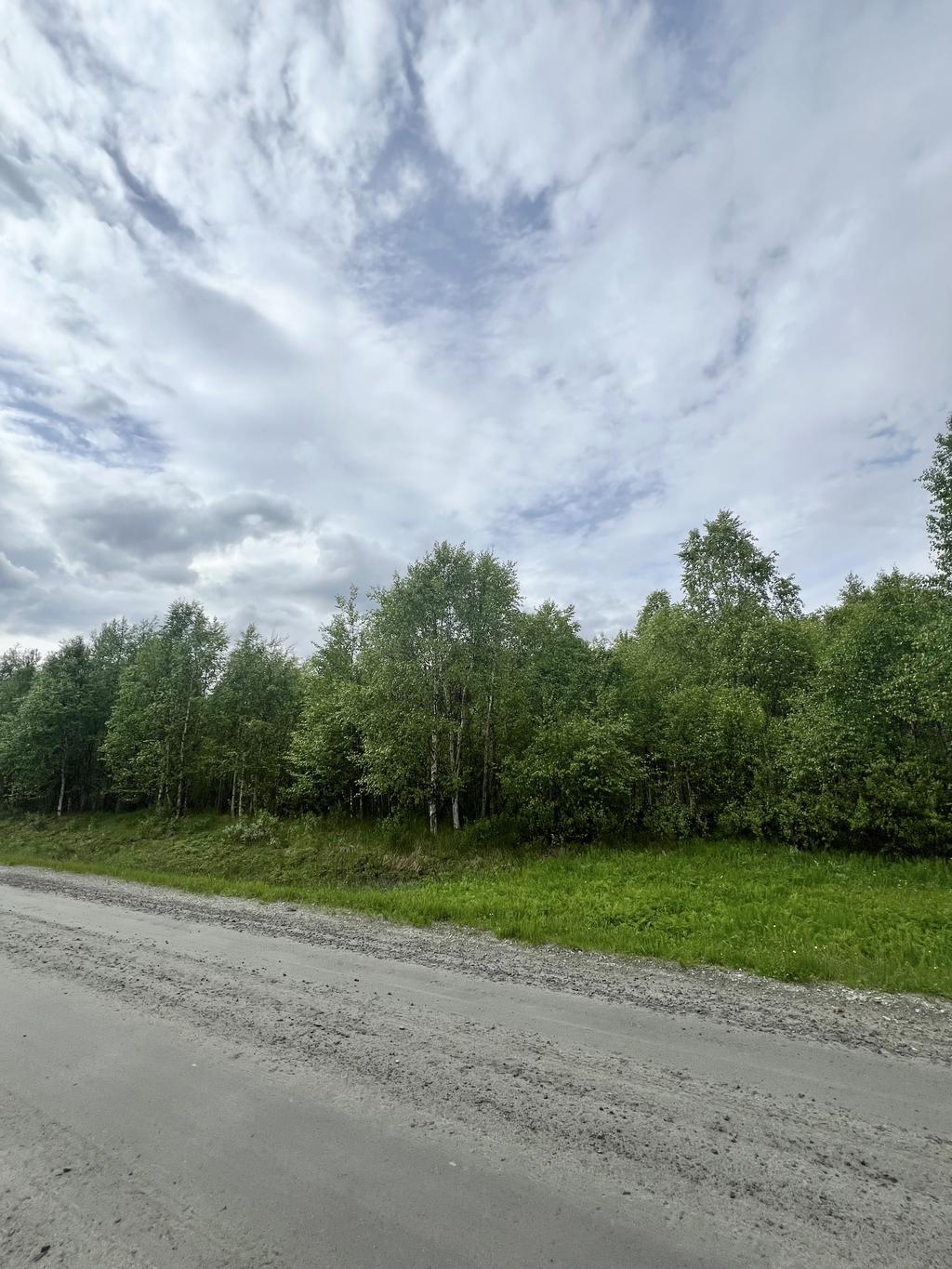 Lillberget 2:5