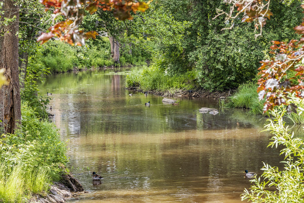 Trevlig närmiljö