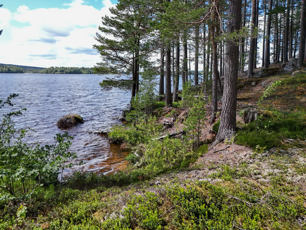 Enkel liten badplats nedanför fastigheten. 