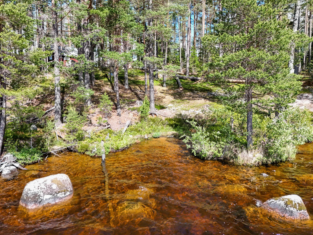 Vy från vattnet mot stugan. 