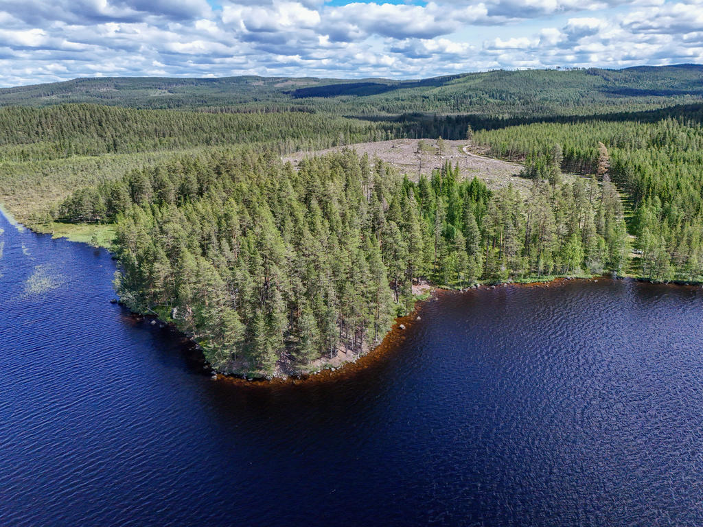 Vy från sjön Mållången mot udden och omkringliggande skogsmark. 