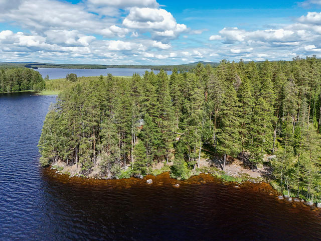 Liten enkel skogskoja belägen mellan träden ute på udden intill sjön Mållången i Hiboviken. 