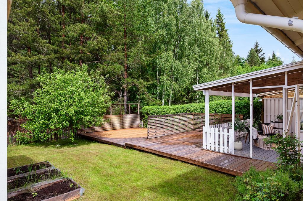 Tomten gränsar till skog