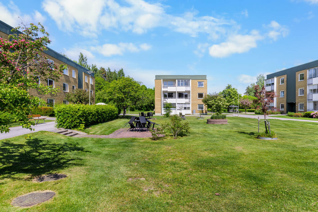 Föreningens gemensamma innergård med uteplatser. 