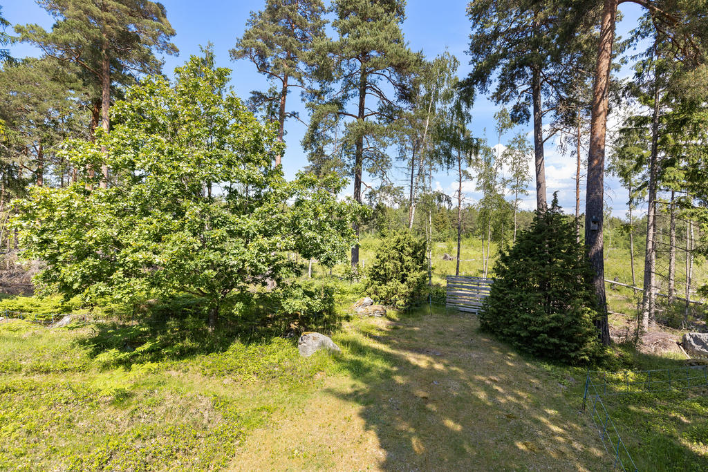 Baksida