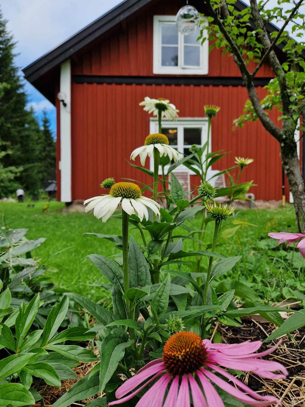 Säljarens egna bilder
