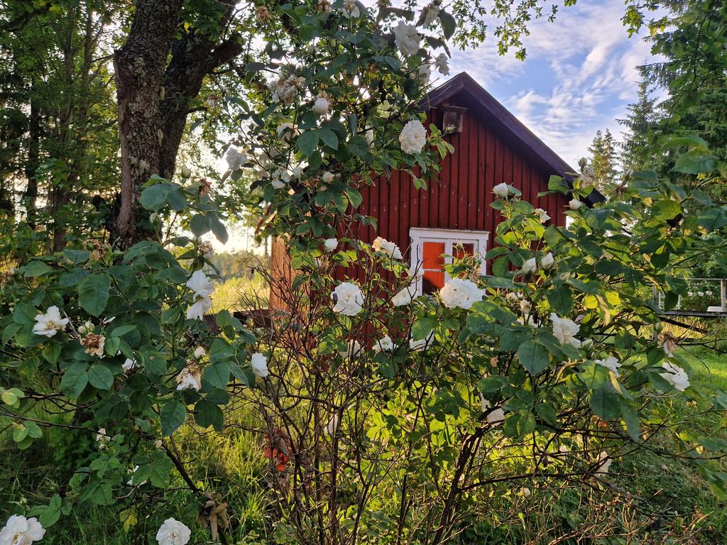 Säljarens egna bilder
