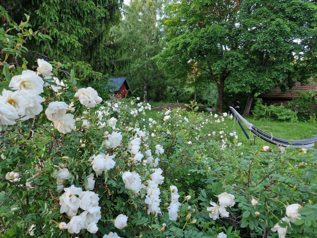 Säljarens egna bilder