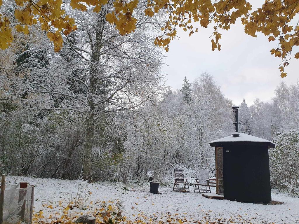 Säljarens egna bilder