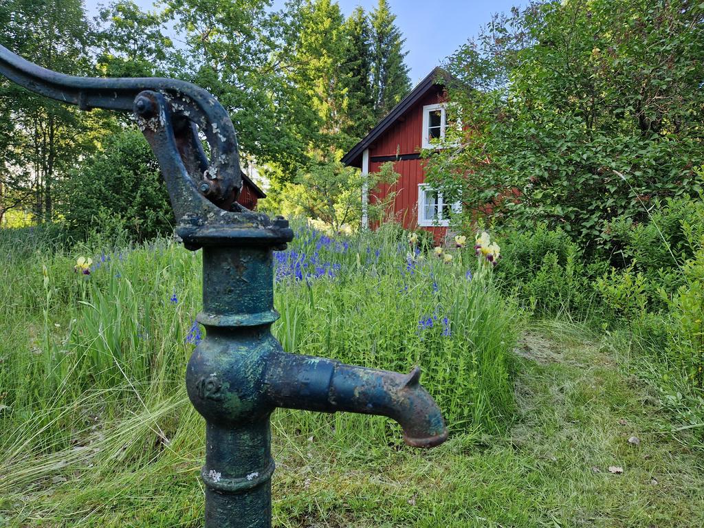 Säljarens egna bilder