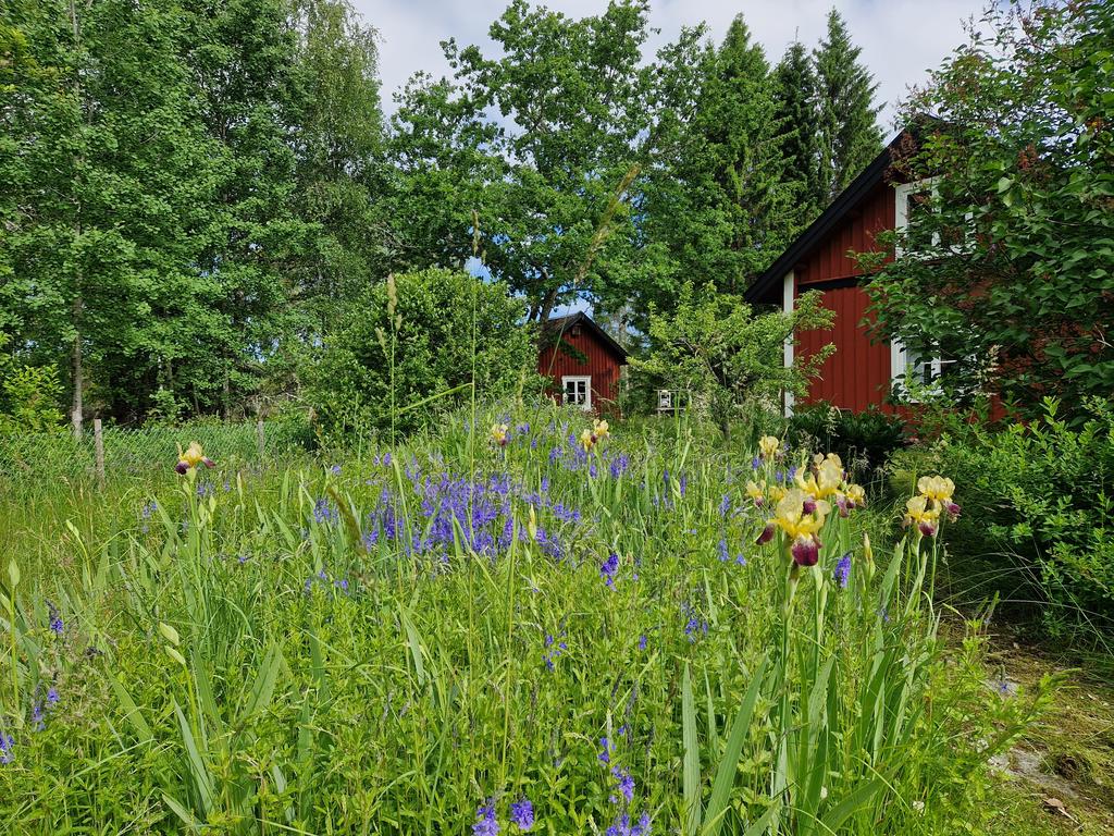 Säljarens egna bilder