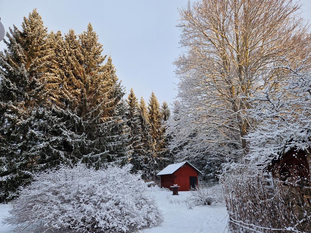 Säljarens egna bilder