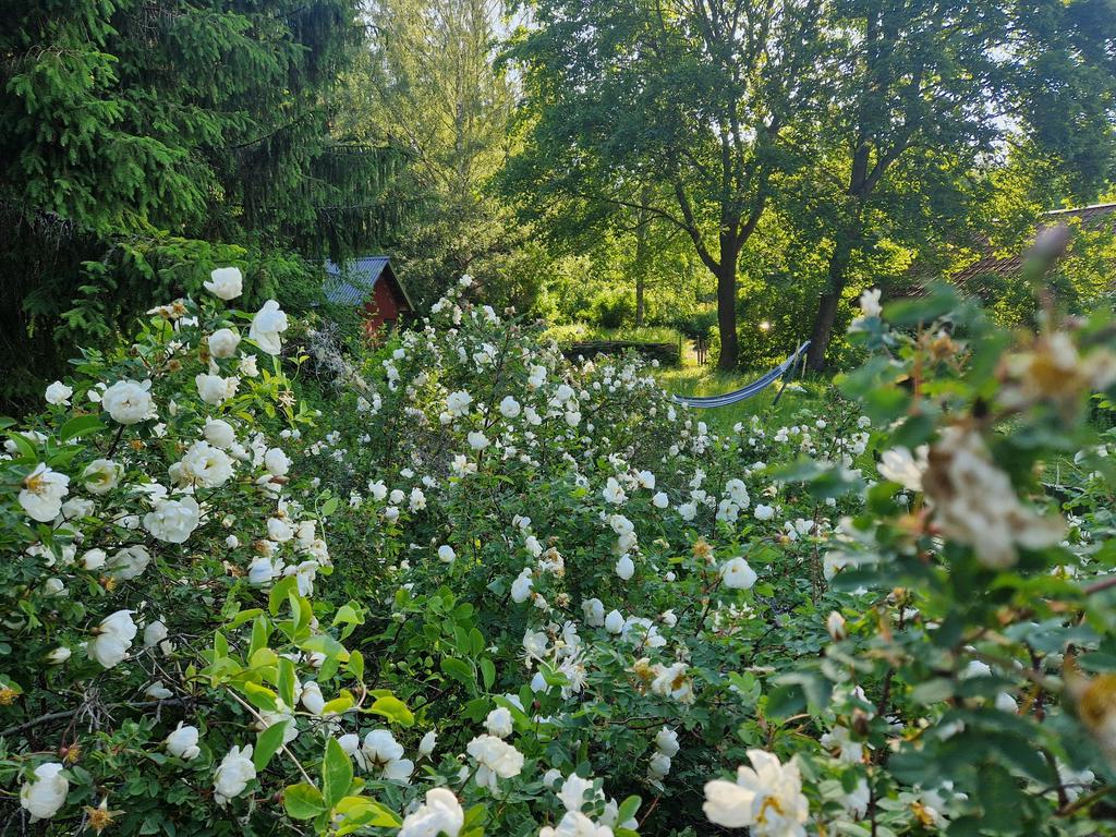 Säljarens egna bilder