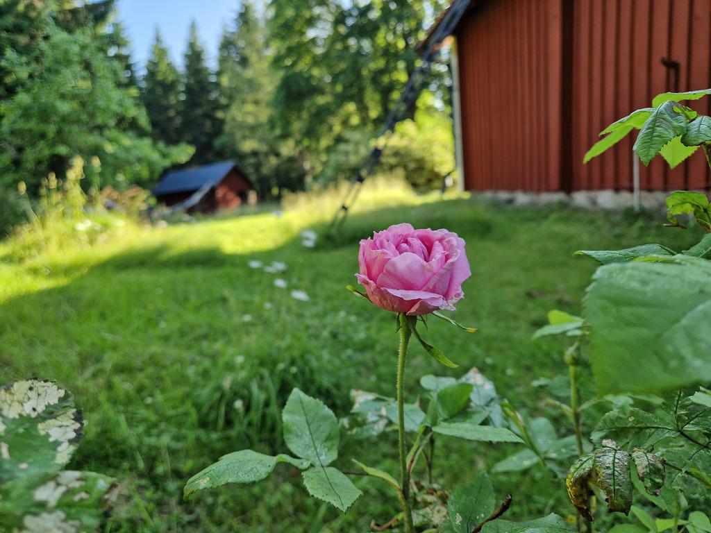 Säljarens egna bilder