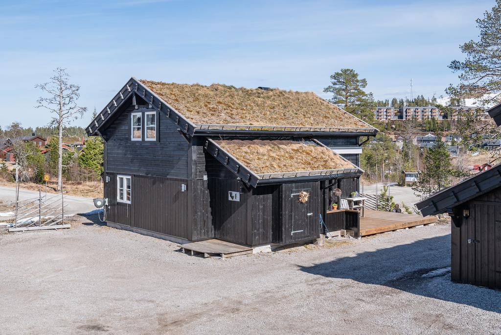 Exteriör
