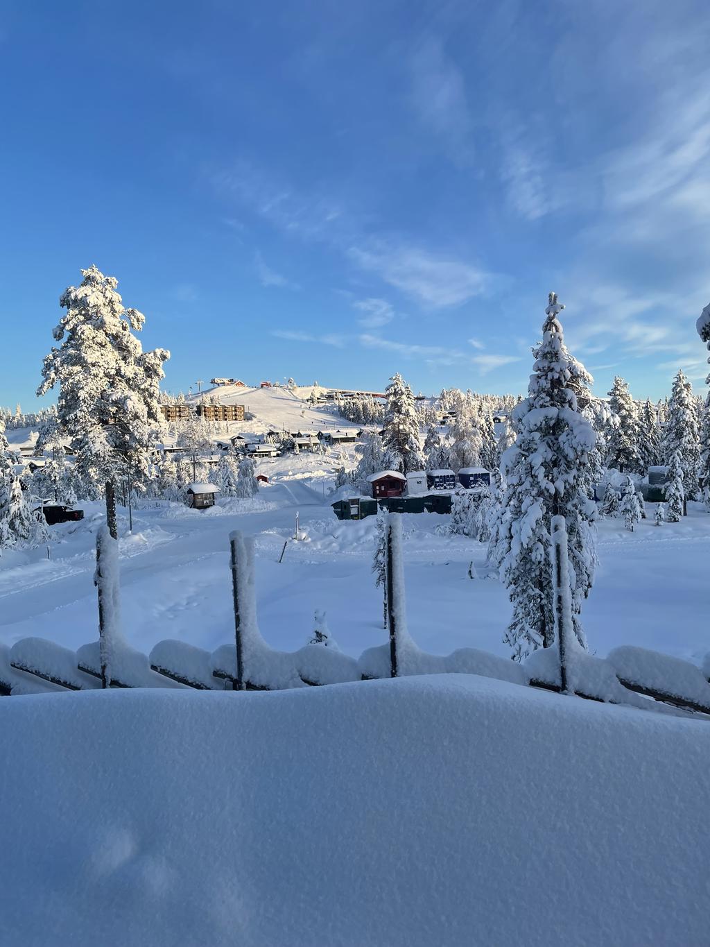 Säljarbild