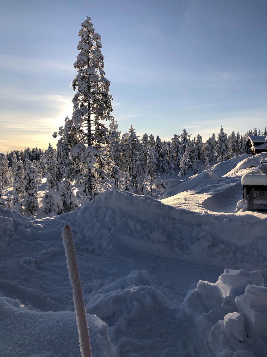 Säljarbild