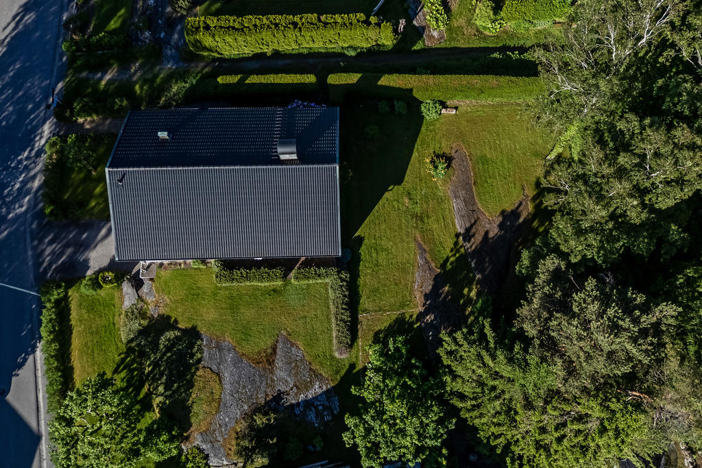 Stor trägård med plats för odling och barnlek