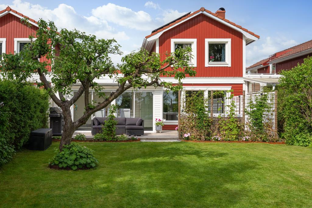 Härlig lummig trädgård på baksidan