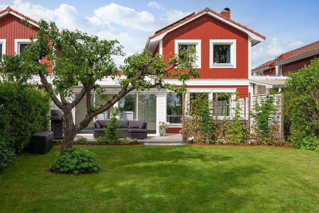 Härlig lummig trädgård på baksidan