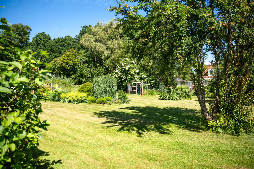 Vacker, grönskande trädgård