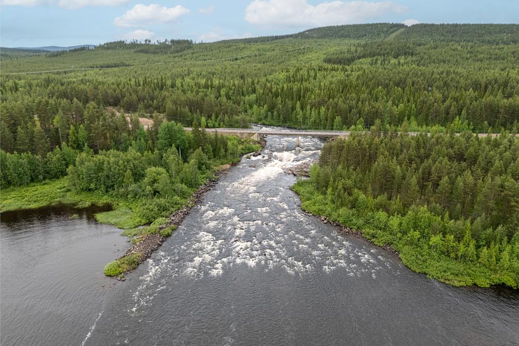 Linaälv
