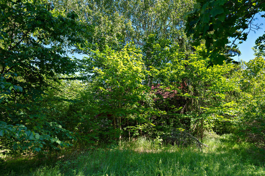 Den grönskande tomten vetter mot Åkers kanal i väster