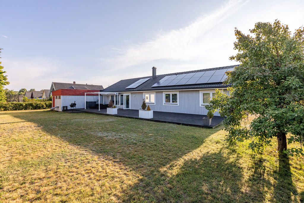 Trädgård på baksidan