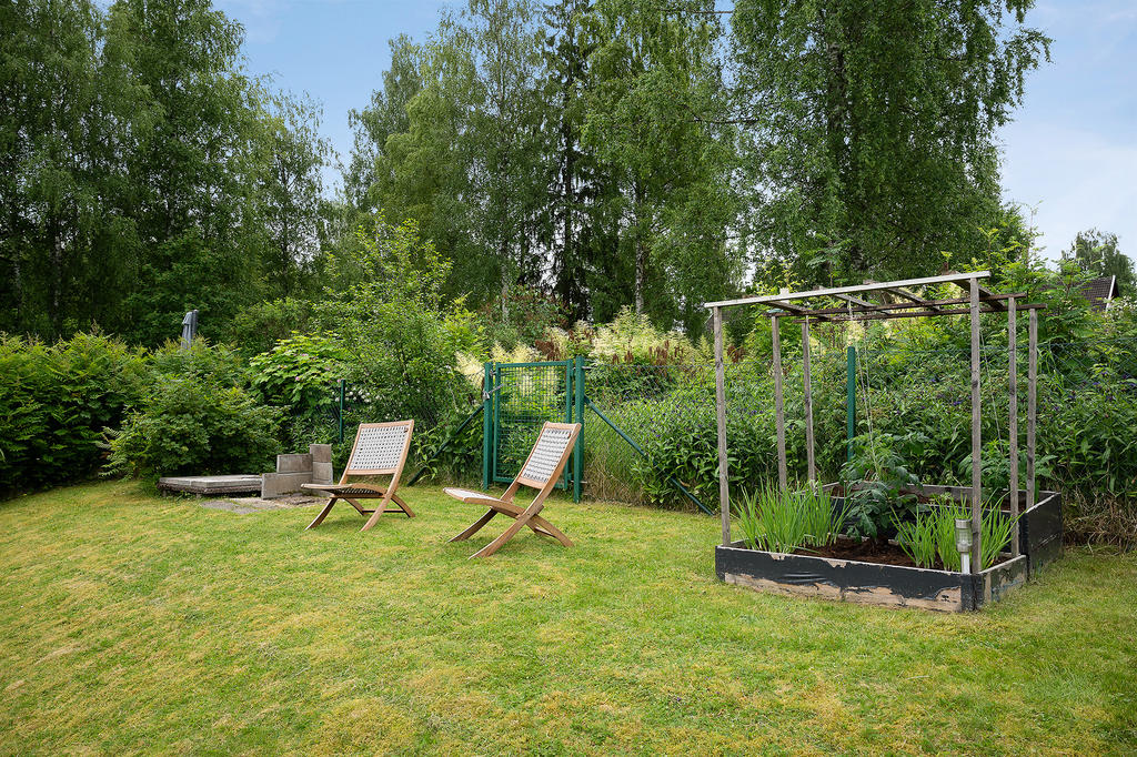 Trädgård
