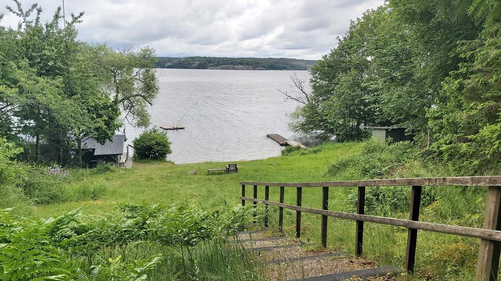 Föreningens område
