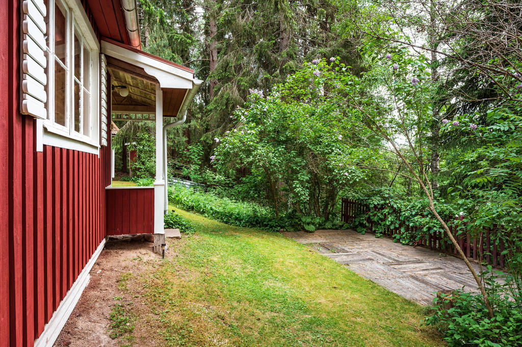 Stugan är omgiven av trolsk skog