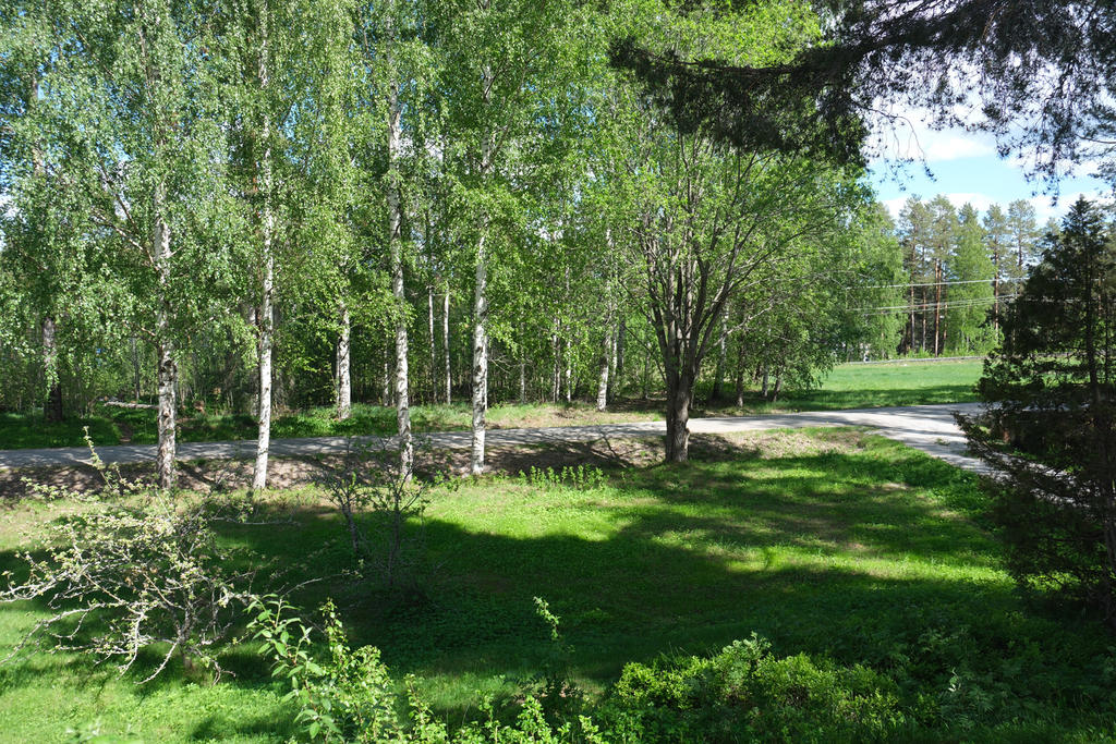Säljarens bild. Tomt i öster, utsikt mot järnväg. 