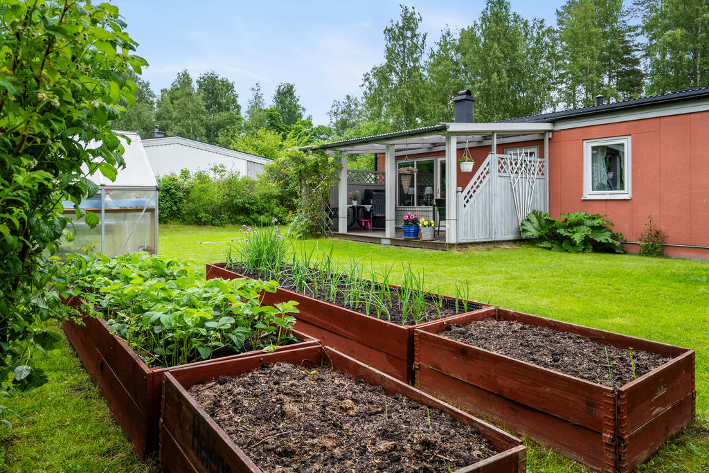 Trädgård