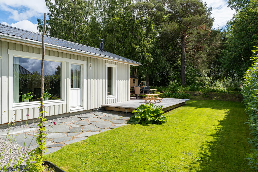 Trädgård