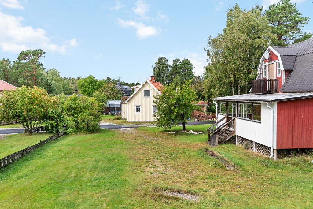 Stor fin trädgård