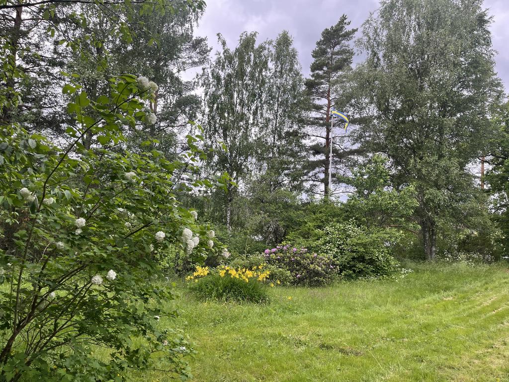 Blomsterfägring och flaggstång
